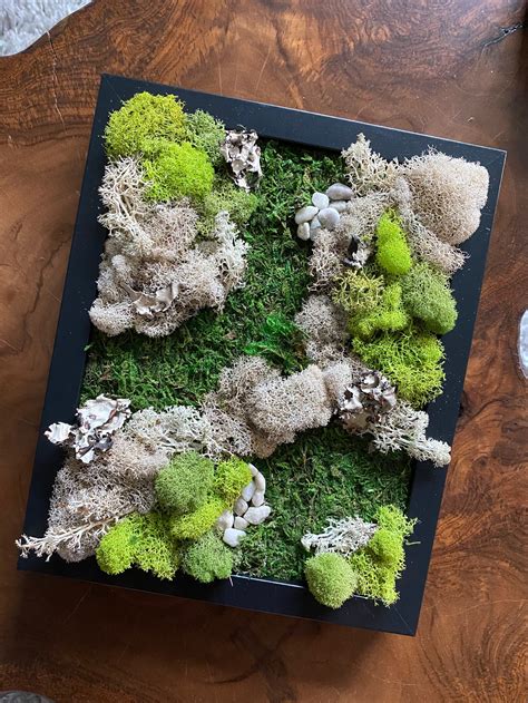 etsy moss art|More.